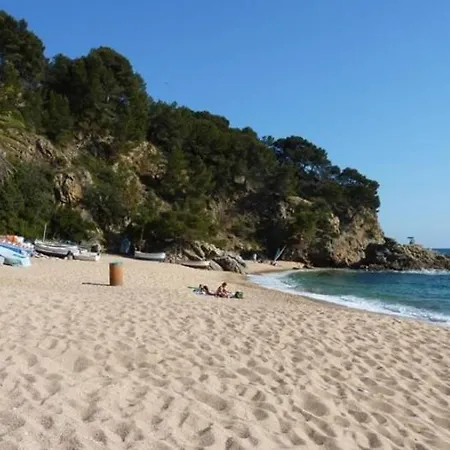 Palmera * Λορέτ Ντε Μαρ